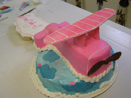Hand-sculpted airplane novelty cake ready for a young pilot's birthday party